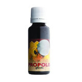 Propolis glycolique, 30 ml, Parapharm