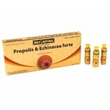 Propolis et Echinacea Forte, 10 ampoules, Only Natural