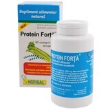 Protein Strength , 60 tablets, Hofigal