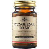 Pycnogenol 100 mg, 30 gélules, Solgar