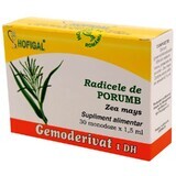 Racine de maïs Gemoderivaat, 30 unidoses, Hofigal