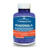 Rhodiola, 120 Kapseln, Herbagetica