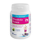 Rhodiola Rosea, 60 gélules, Bio Synergie