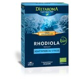 Rhodiola, 20 Fläschchen x 10ml, Laboratoires Dietaroma