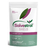 Salvestrol Shield, 60 gélules, Hyperfarm