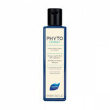 Shampooing purifiant pour cuir chevelu gras Phytocedrat, 250 ml, Phyto