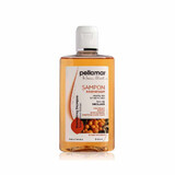 Shampooing régénérant à l'extrait de catina Beauty Hair, 250 ml, Pellamar