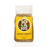 Seigle entier, 500 g, Solaris