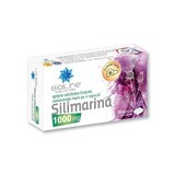 Silymarine 1000 mg, 30 gélules, Helcor