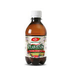 Sirop de plantusine pour diabétiques, R29, 250 ml, Fares
