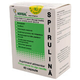 Spiruline 500 mg, 40 gélules, Hofigal