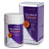 Telom-R Articular, 120 gélules, Dvr Pharm
