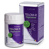 Telom-R Regeneration, 120 gélules, Dvr Pharm