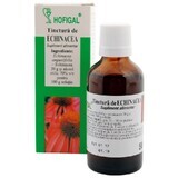 Echinacea-Tinktur, 50 ml, Hofigal