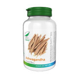 Ashwagandha, 40 cápsulas, Pro Natura