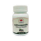 Ashwagandha, 60 gélules, Herbe Ayurvédique