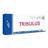 Tribulus, 60 gélules, Pro Nutrition