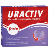 Uractiv forte, 10 capsules, Fiterman Pharma