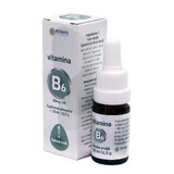 Vitamine B6 (50mg/ml) solution orale, 10 ml, Renans