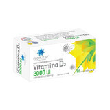 Vitamine D3 2000 UI, 60 comprimés, Helcor