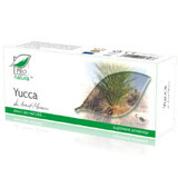 Yucca, 30 gélules, Pro Natura