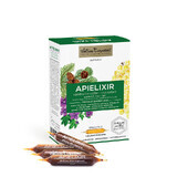 APIELIXIR santé respiratoire Abeille des Carpates, 10 ampoules x 10 ml, Apicola