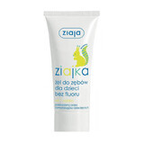 Ziajka, toothpaste for children and babies, without fluoride, 50 ml