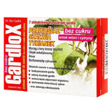 Gardlox saveur cerise-citron, sans sucre, 16 pastilles