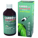 GorVita Carbosal, sirop, arôme cola, 100 ml