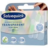 Salvequick Transparent Aloe Vera, patchs transparents avec pansement, imperméable, à l&#39;aloe vera, 20 pièces