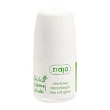 Feuilles d&#39;olivier vert Ziaja, déodorant roll-on, 60 ml