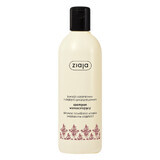 Ziaja, shampooing fortifiant, huile de cachemire et d'amarante, 300 ml