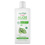 Equilibra Aloe, shampooing hydratant, aloe vera, 250 ml