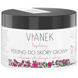 Vianek, soothing scalp scrub, 155 g