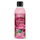 Barwa Natural, shampooing à la pivoine pour cheveux fins et ternes, volumateur, 300 ml