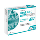 UroLact, 10 gélules