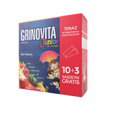 Grinovita Junior, pour les enfants à partir de 3 ans, 10 sachets + 3 sachets offerts