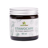 HempKing Stawocare, pommade pour les articulations, 60 ml