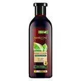 Marion Botanical, shampooing régénérant à base de plantes, prêle des champs, cheveux abîmés, 400 ml