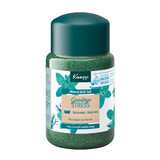 Kneipp Goodbye Stress Romero y Menta, cristales de baño de sales minerales, 500 g