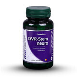DVR-Stem Neuro, 60 gélules, Dvr Pharm