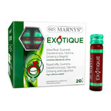 EXOTIQUE mit 5 Energizer, 20 Fläschchen x 11 ml, Marnys