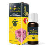 Extrait de glycéride de propolis avec Astragale ApicolScience, 30 ml, Dvr Pharm