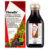 Floradix Fer et Vitamines, 250 ml