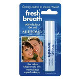 Fresh Breath, rafraîchisseur de bouche, menthe, 10 g