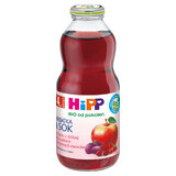 HiPP Tea &amp; Juice Bio, thé d'églantier avec jus de fruits rouges, après 4 mois, 500 ml