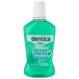 Dentica, bain de bouche, Extra Fresh, 500 ml