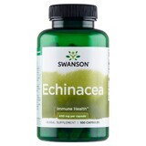 Swanson Echinacea 400 mg, bleuet pourpre, 100 gélules