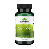 Swanson Full Spectrum Gotu Kola, Centella Asiatica, 60 gélules