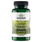 Swanson Full Spectrum Coleus Forskohlii, ortie indienne, 60 gélules